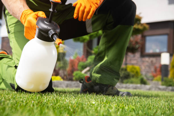 Reliable Round Lake Park, IL Pest Control Solutions